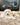 Pets