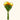 14" Real Touch Parrot Mini Tulip Bouquet – Sunrise Orange