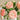 18" Real Touch Ranunculus Stem – Soft Coral Peach