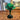 Emerald Green Jack in the Pulpit Art Glass Vase