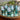 Clipper Czech Bohemian Cordial Glasses, Set of 7
