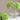 12.5"Real Touch lifelike Hydrangea-6”bloom